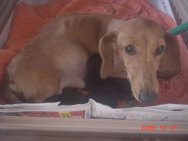 �o�����@�r�������@����ҁ`