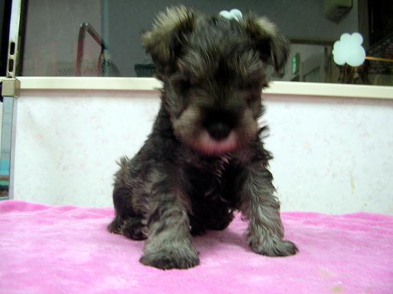 �o�����@�r�������@����ҁ`