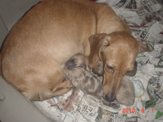 �o�����@�r�������@����ҁ`