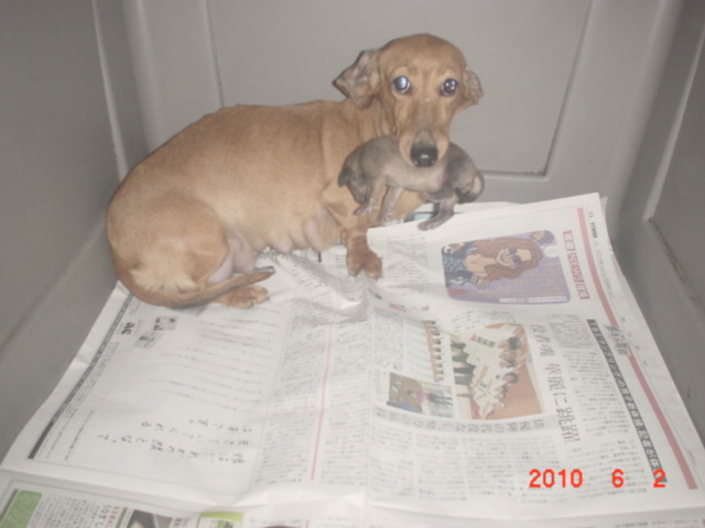 �o�����@�r�������@����ҁ`