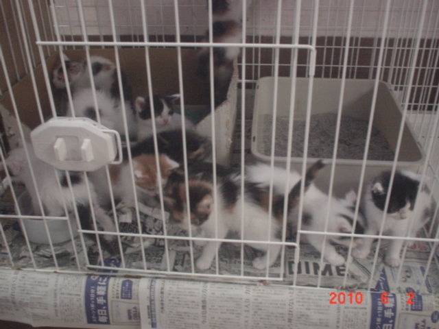 �o�����@�r�������@����ҁ`