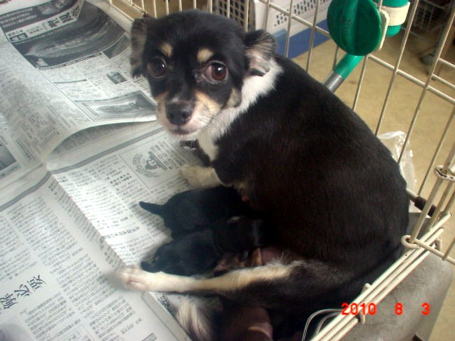 �o�����@�r�������@����ҁ`