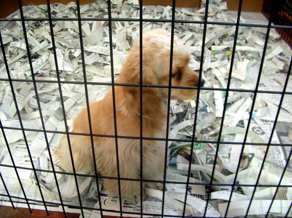 �o�����@�r�������@����ҁ`