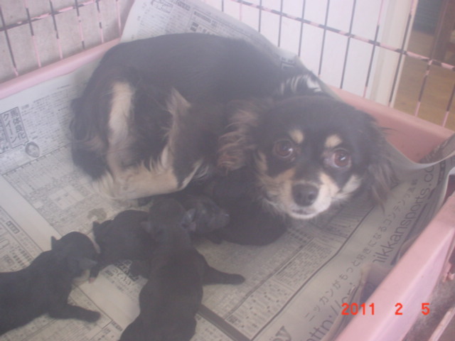 �o�����@�r�������@����ҁ`