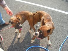 �o�����@�r�������@����ҁ`