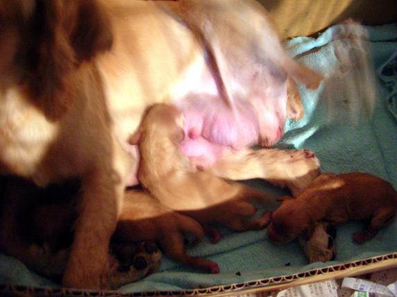 �o�����@�r�������@����ҁ`