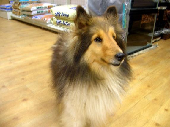 �o�����@�r�������@����ҁ`