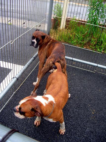 �o�����@�r�������@����ҁ`