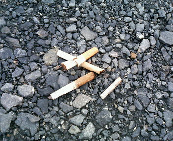 ���[�����~�[�@�ۂ�ۂ�