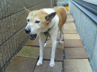 ���[�����~�[�@�ۂ�ۂ�