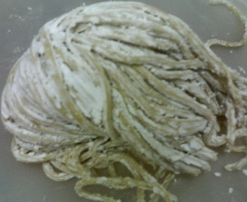 ���[�����~�[�@�ۂ�ۂ�