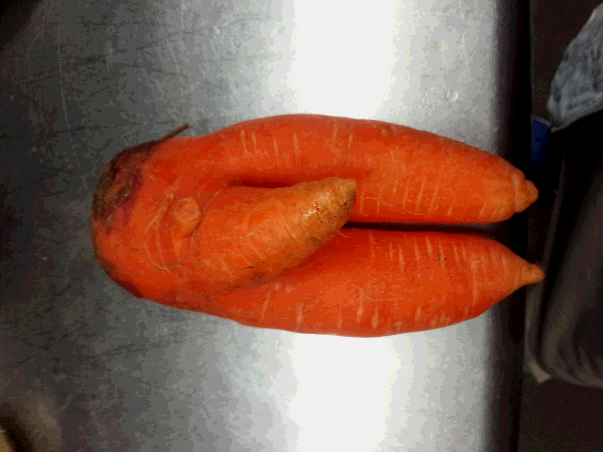 ���[�����~�[�@�ۂ�ۂ�