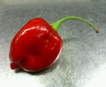 ���[�����~�[�@�ۂ�ۂ�