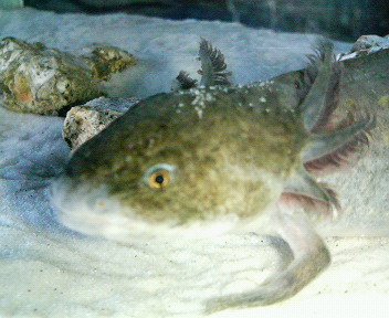 ���[�����~�[�@�ۂ�ۂ�