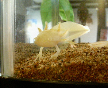 ���[�����~�[�@�ۂ�ۂ�