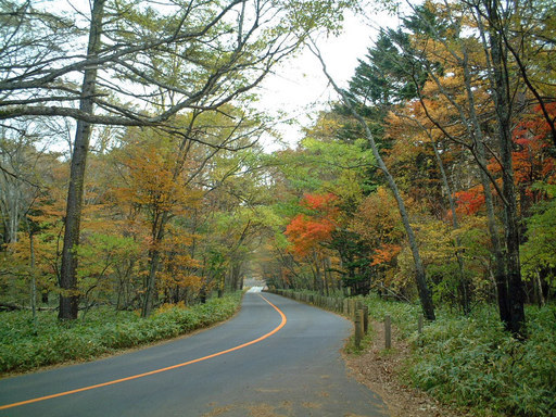 �z�[���x�[�J���[�|�g���ipotele)