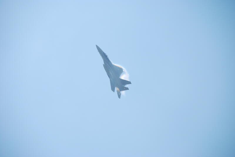 ���W�R���w���R�v�^�[