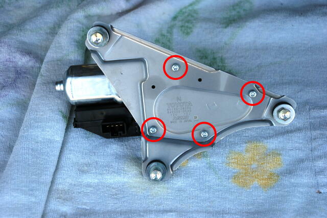 ���W�R���w���R�v�^�[