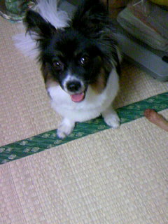 �������~