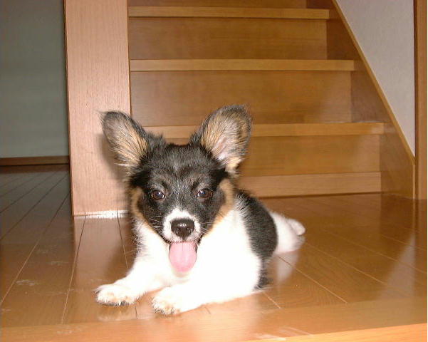 �������~