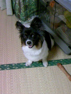 �������~