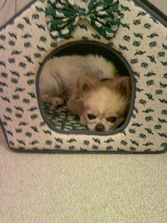 �������~