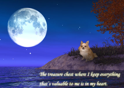 �������~