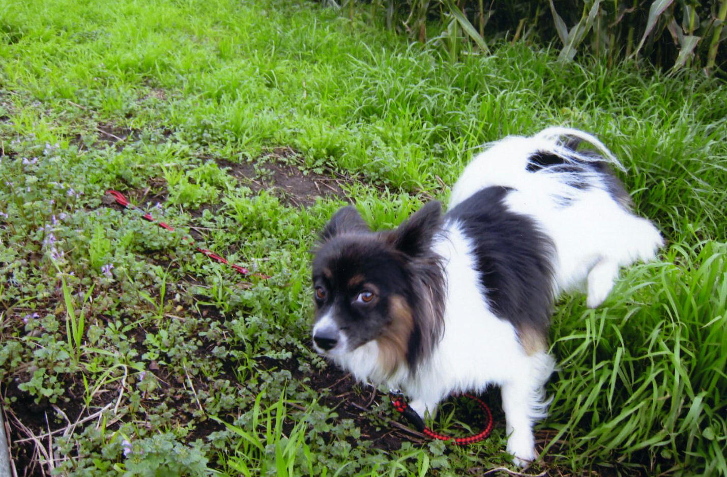 �������~