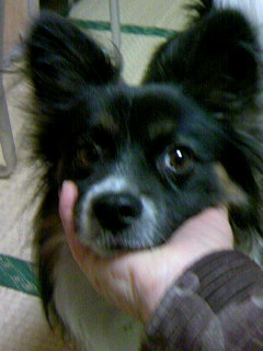 �������~