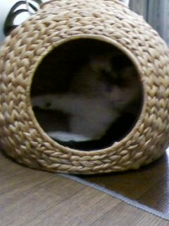 �������~