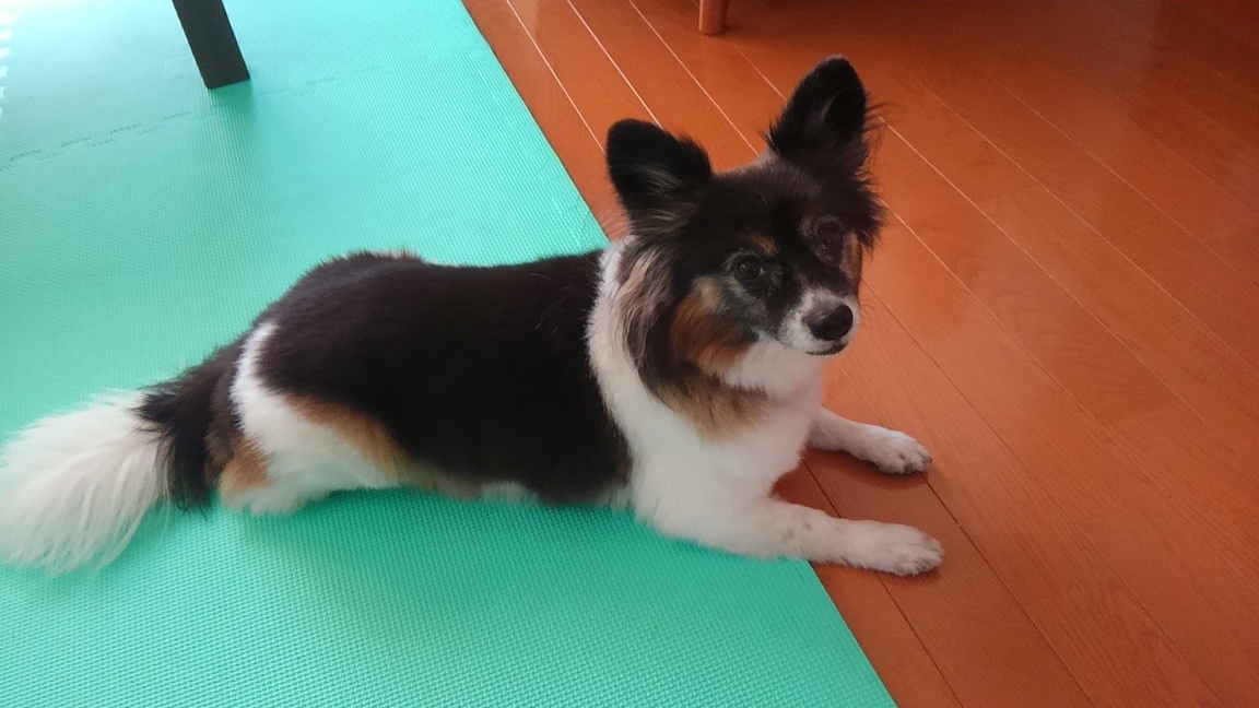 �������~