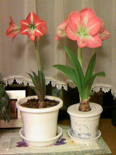 �������~