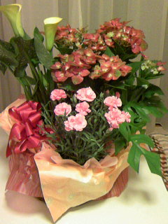 �������~