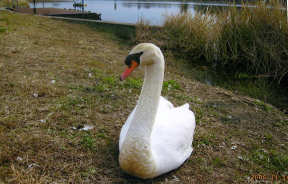 �������~