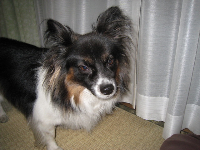 �������~