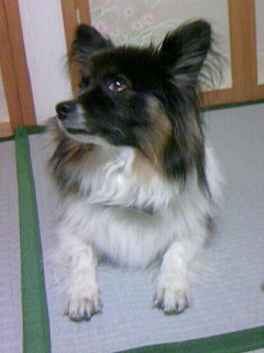 �������~