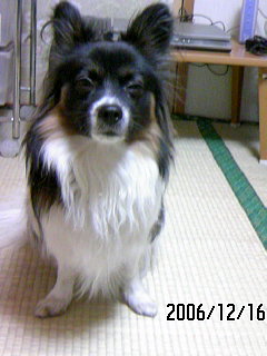 �������~