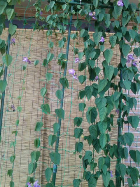 �������~