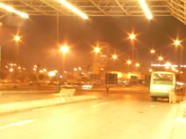 �����E�w�͂̃G�W�v�g�n�R��