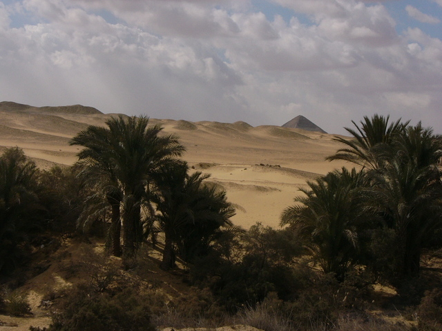 �����E�w�͂̃G�W�v�g�n�R��