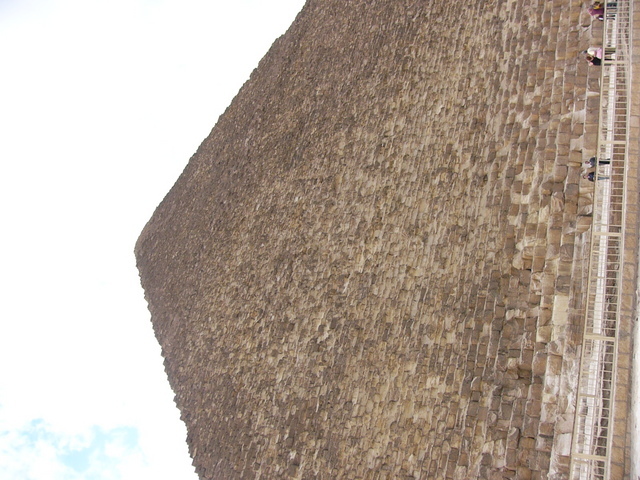 �����E�w�͂̃G�W�v�g�n�R��