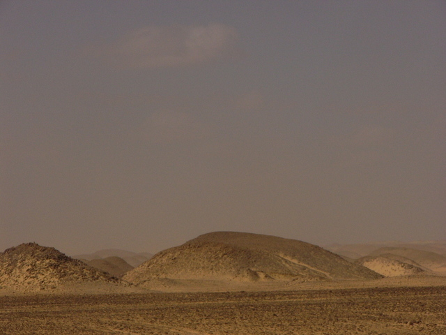 �����E�w�͂̃G�W�v�g�n�R��