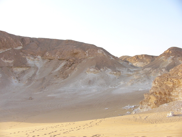 �����E�w�͂̃G�W�v�g�n�R��