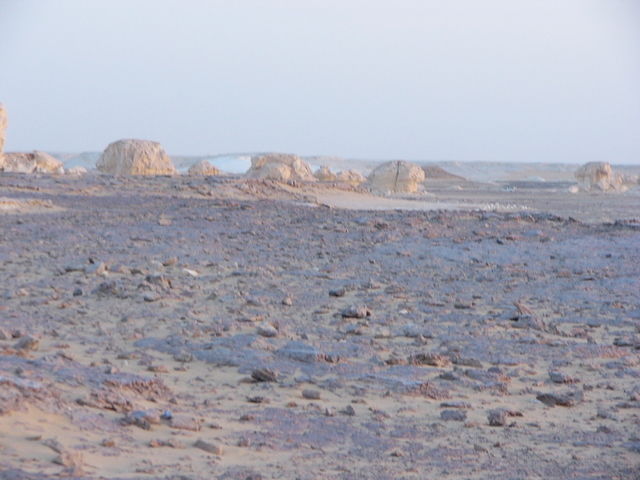 �����E�w�͂̃G�W�v�g�n�R��