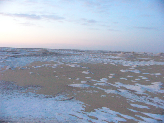 �����E�w�͂̃G�W�v�g�n�R��