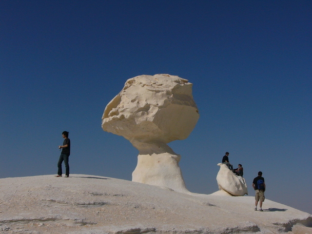 �����E�w�͂̃G�W�v�g�n�R��