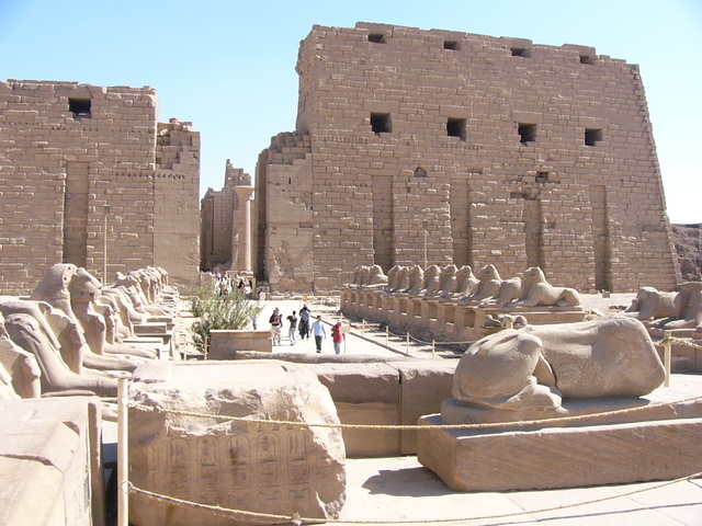 �����E�w�͂̃G�W�v�g�n�R��