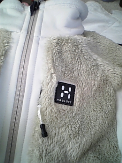 ������̓��L