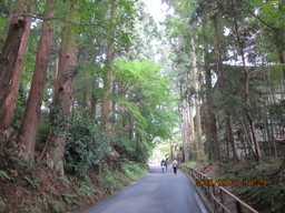 �O�\�H�̂��킲��