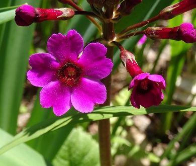 ���Î��u�T�����vweb�y�[�W